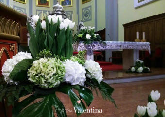 Tulipani e ortensie