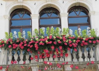 Este in Fiore, i balconi allestiti come giardini